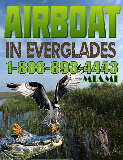 airboat tours miami